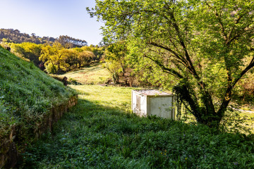 Jardín