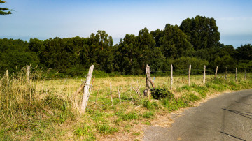 Entrada