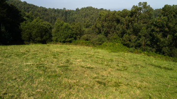 Vistas a la montaña