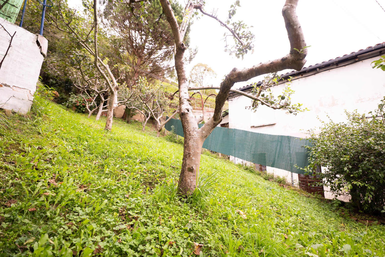 Casas o chalets-Venta-San MartÃ­n del Rey Aurelio-1412007-Foto-28