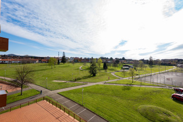 Vistas