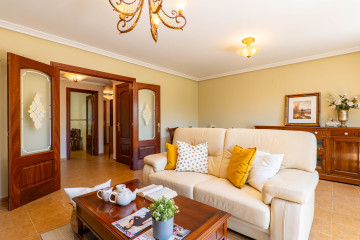 SalÃ³n
