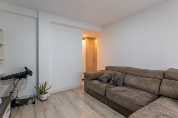 SalÃ³n