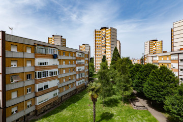 Vistas