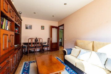 SalÃ³n