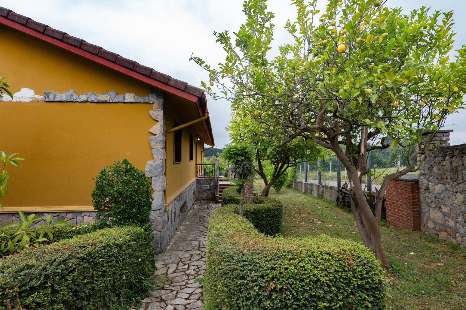 JardÃn