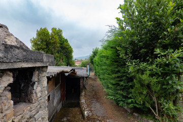 Jardín