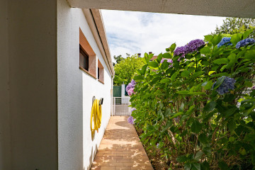 Entrada