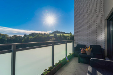 Venta de Pisos en Gijón, Nuevo roces