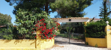 Casas o chalets-Alquiler-Torrent-1700870