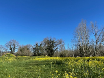 Fincas y solares-Venta-CabezÃ³n de la Sal-1054774-Foto-0-Carrousel