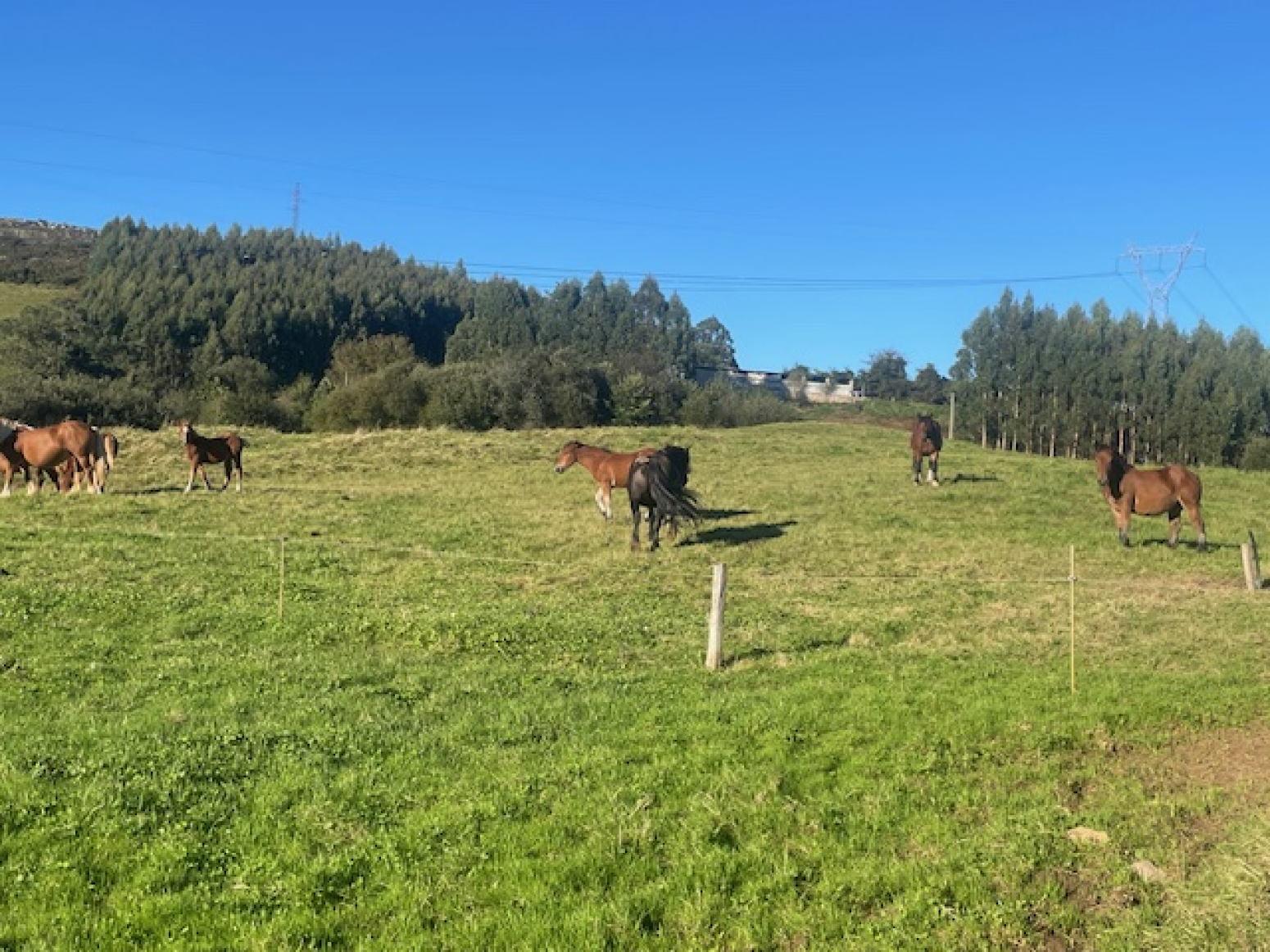 Fincas y solares-Venta-CabezÃ³n de la Sal-1420540-Foto-6