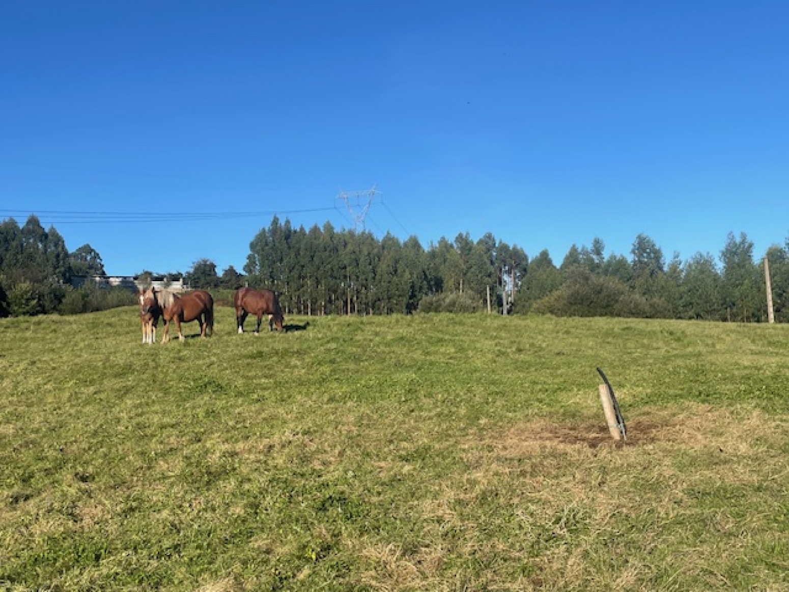 Fincas y solares-Venta-CabezÃ³n de la Sal-1420540-Foto-5