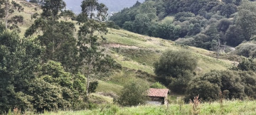 CABAÑA CON TERRENO PARA REFORMAR EN CABEZON DE LA SAL