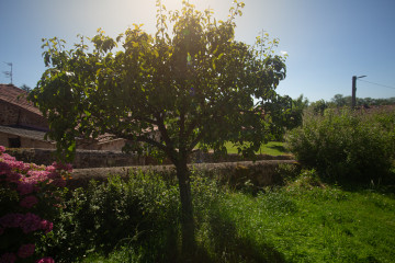 Casas o chalets-Venta-Mazcuerras-2337157-Foto-4-Carrousel