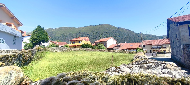 Farms and plots, Sale