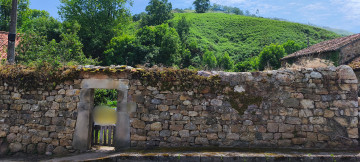 Fincas y solares-Venta-Lamasón-2355730
