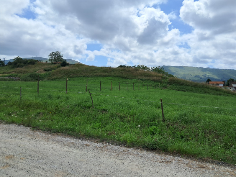 FINCA CON PROYECTO APROVADO POR LA CROTU MAZCUERRAS