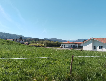 Fincas y solares-Venta-Mazcuerras-2355990-Foto-1-Carrousel