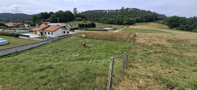 FINCA CON PROYECTO APROVADO POR LA CROTU MAZCUERRAS