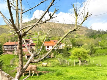 Naves-Venta-Rionansa-2356802-Foto-4-Carrousel