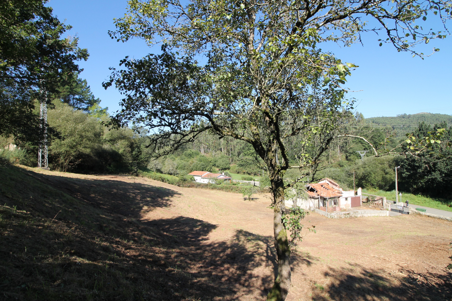 Casas o chalets-Venta-CabezÃ³n de la Sal-738405-Foto-15