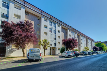 Image Alt Text