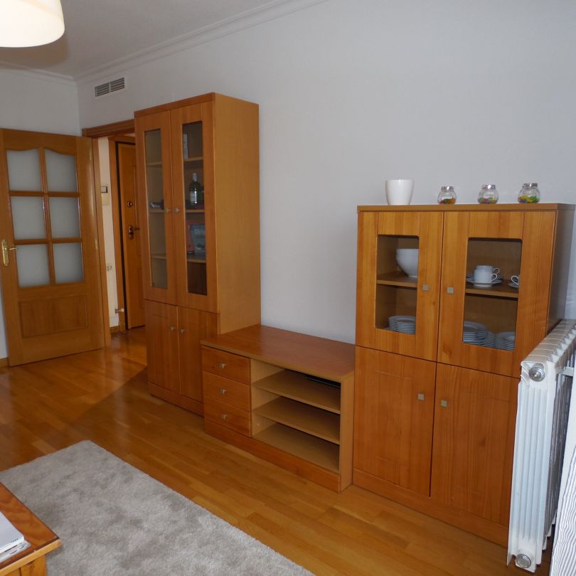 Pisos-Alquiler-Madrid-380550-Foto-6