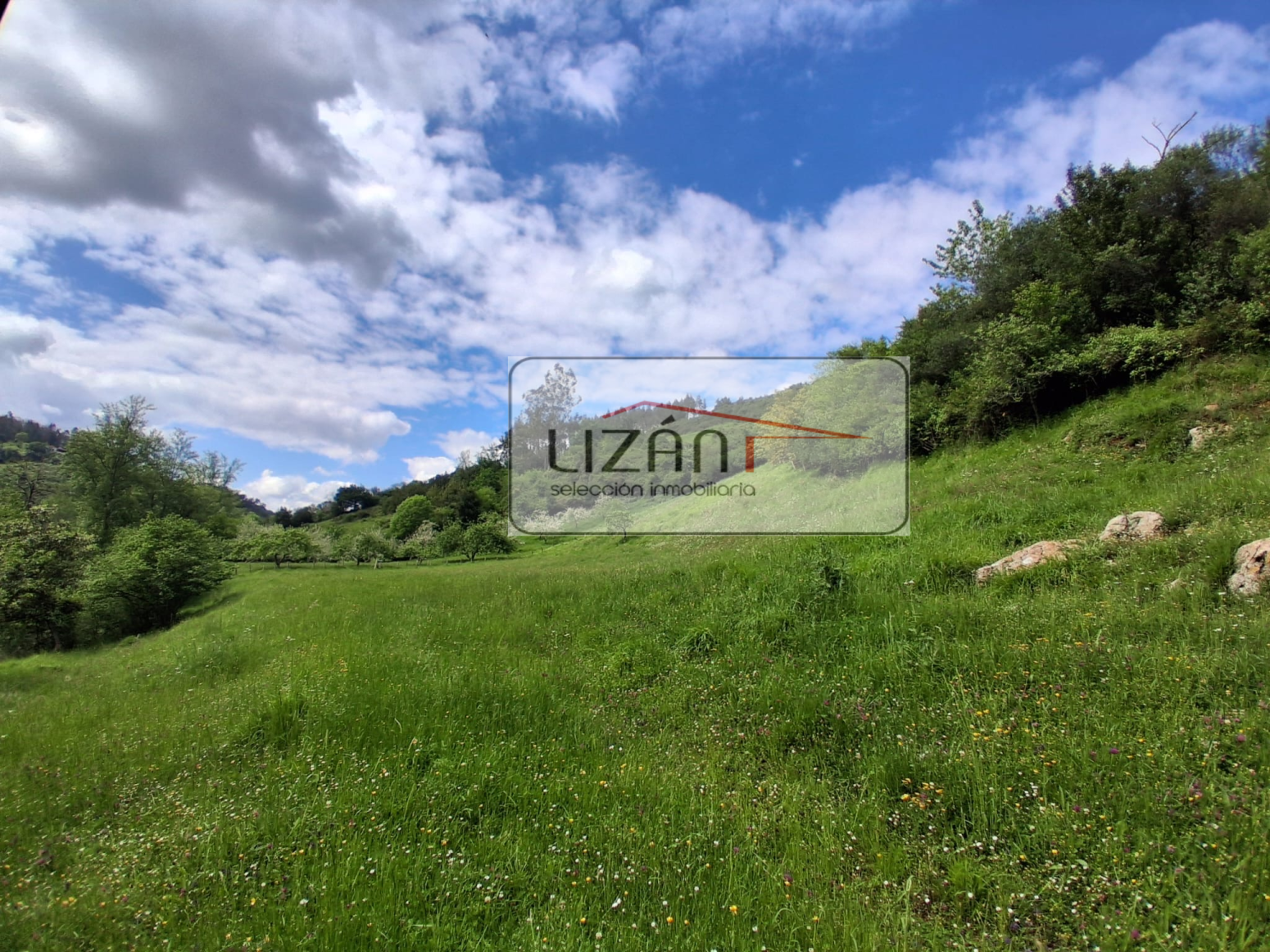 Casas o chalets-Venta-Grado-1719739-Foto-46
