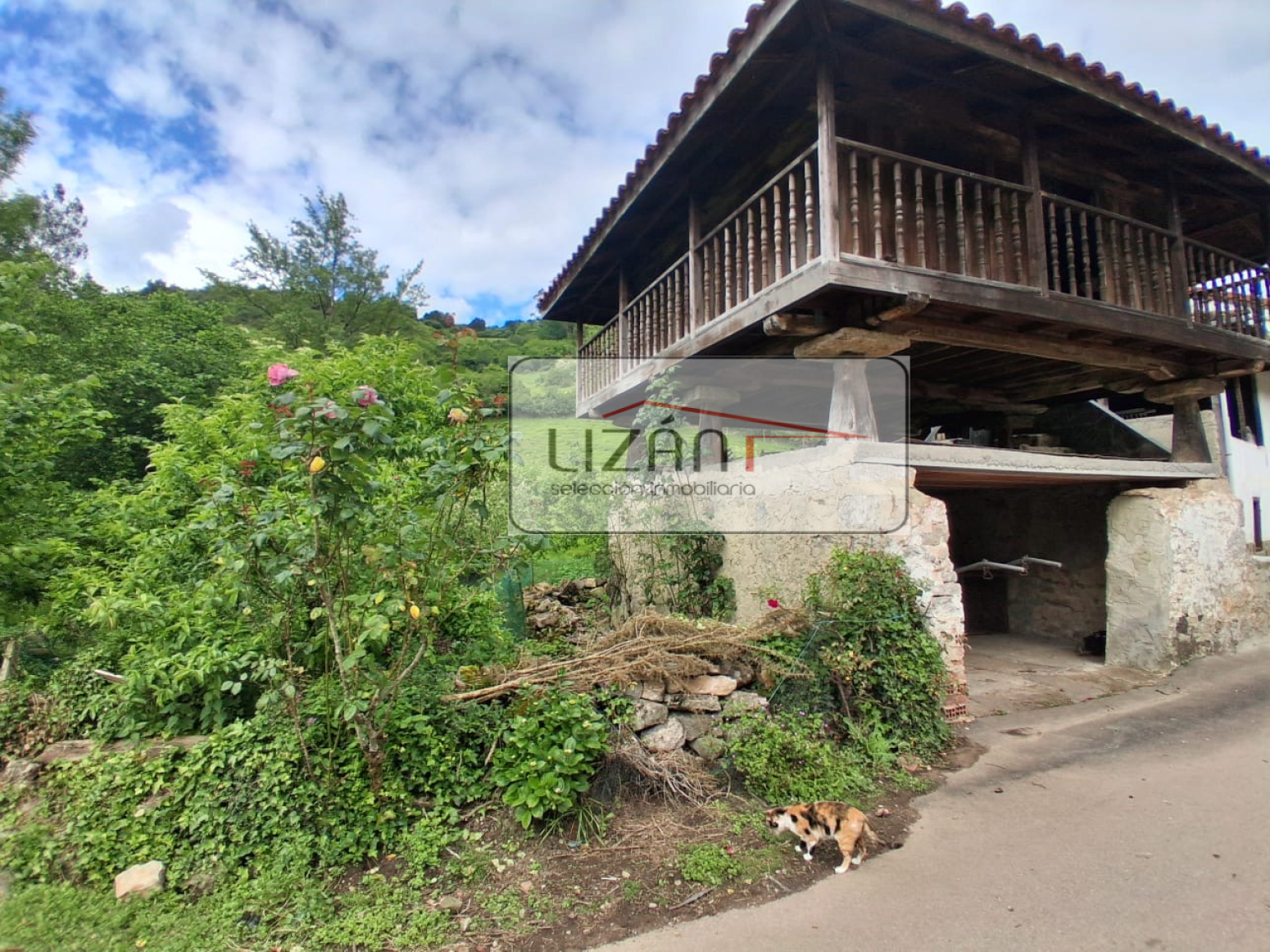 Casas o chalets-Venta-Grado-1719739-Foto-39