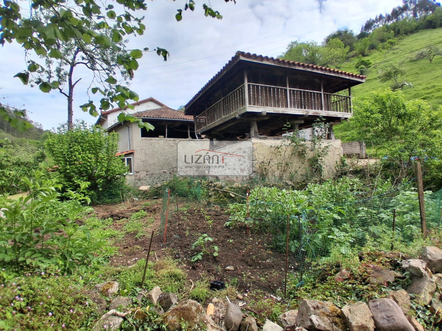 Casas o chalets-Venta-Grado-1719739-Foto-4