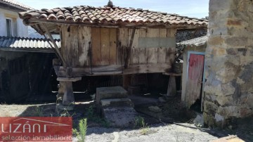 Casas o chalets-Venta-Tineo-308831-Foto-21-Carrousel