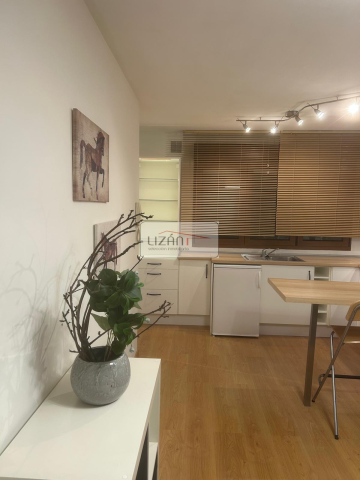 Pisos-Venta-Oviedo-495645-Foto-4-Carrousel