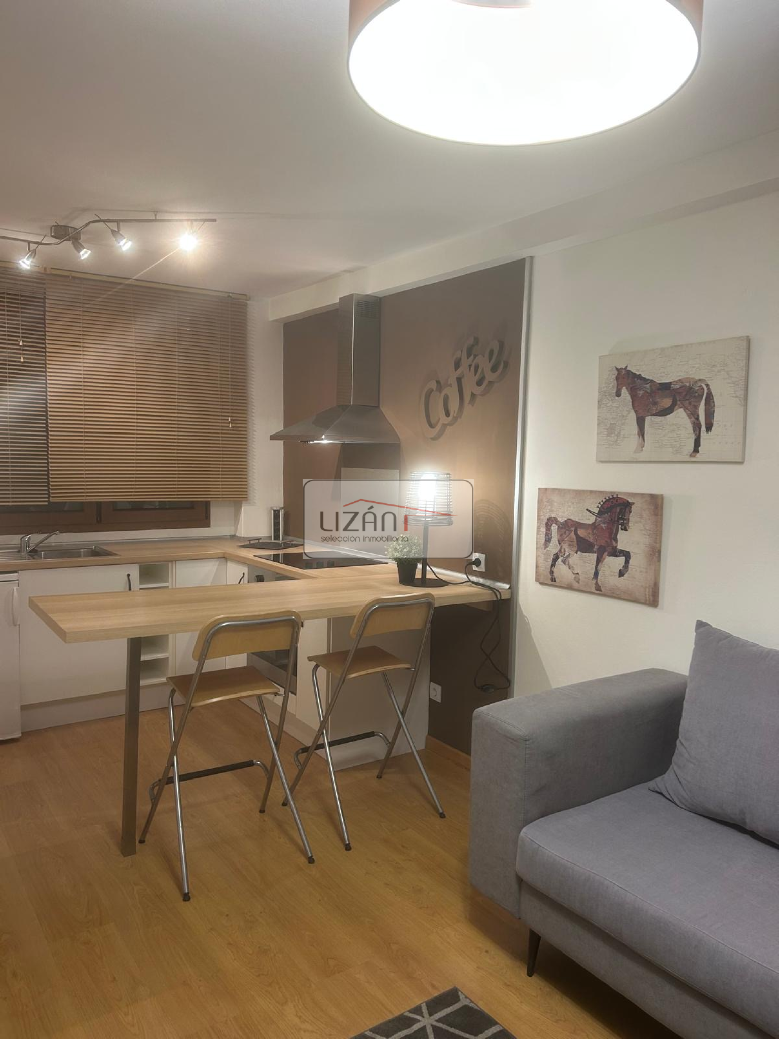 Pisos-Venta-Oviedo-495645-Foto-1