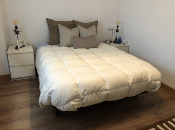 Pisos-Venta-Oviedo-695828-Foto-9-Carrousel