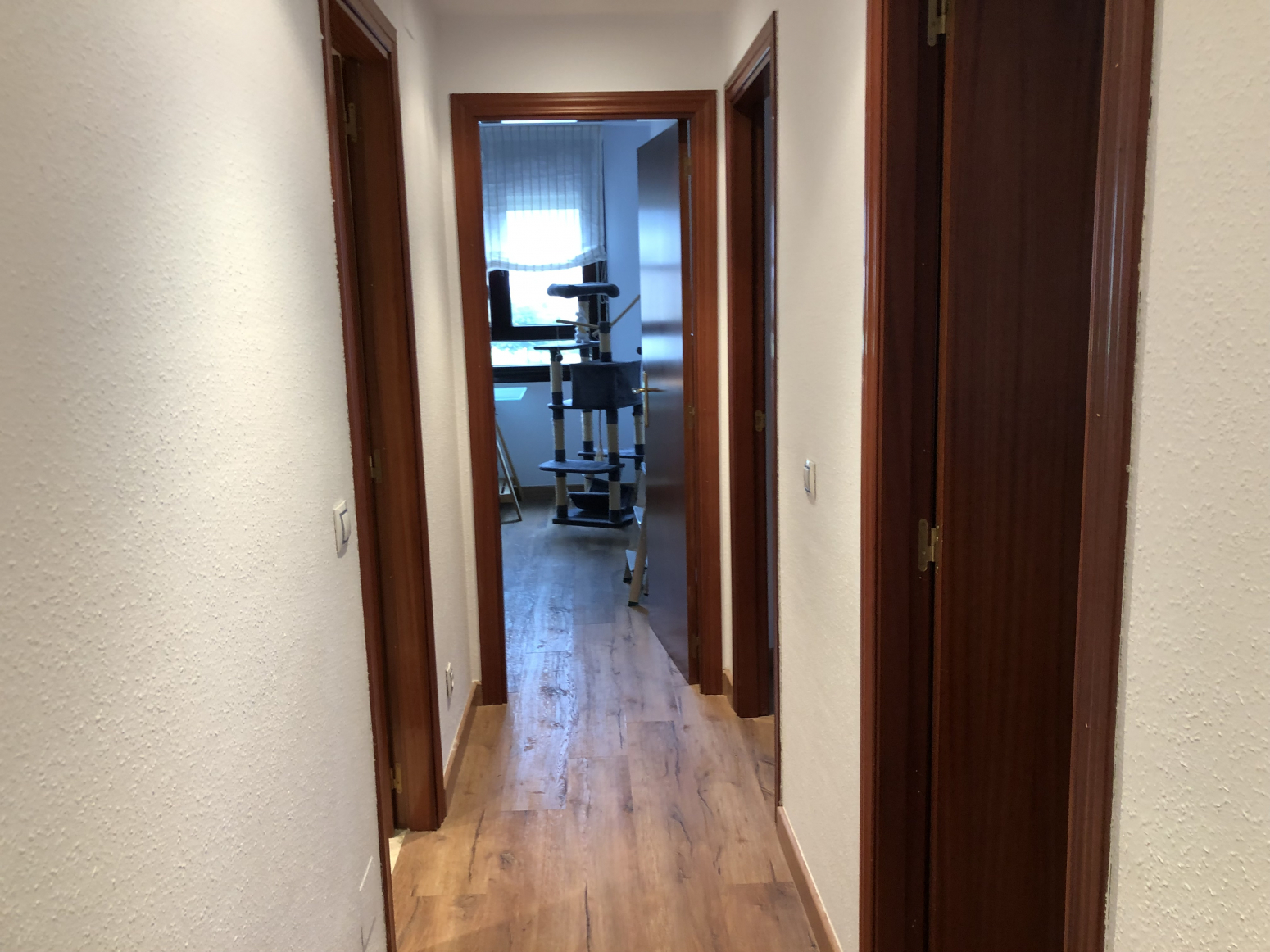 Pisos-Venta-Oviedo-695828-Foto-14