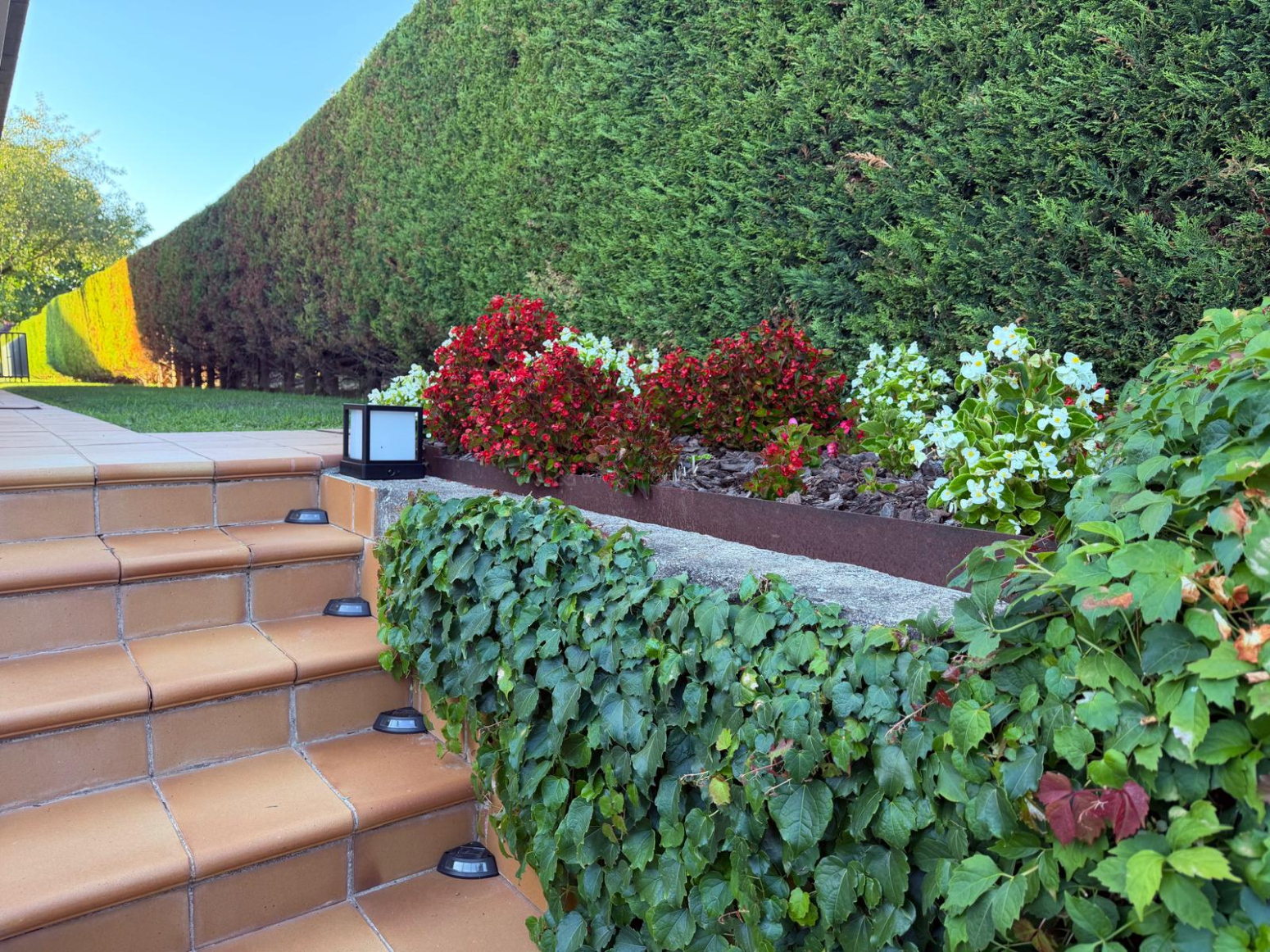 Casas o chalets-Venta-Anguciana-2365655-Foto-32