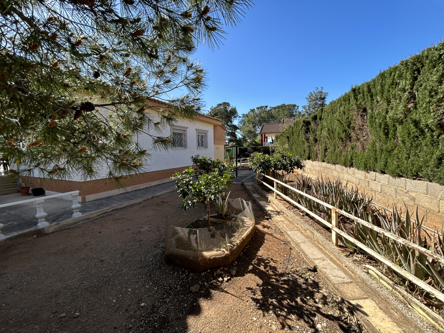 Casas o chalets-Venta-Monserrat-Montserrat-1061866-Foto-44