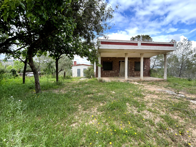 Casas o chalets-Venta-Godelleta-1719745