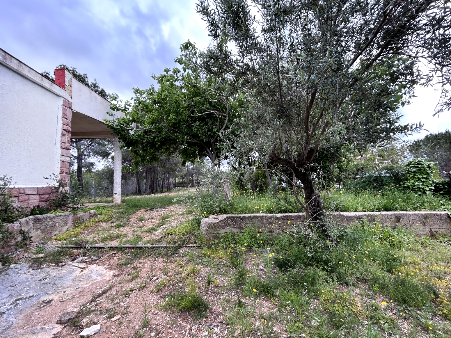 Casas o chalets-Venta-Godelleta-1719745-Foto-25