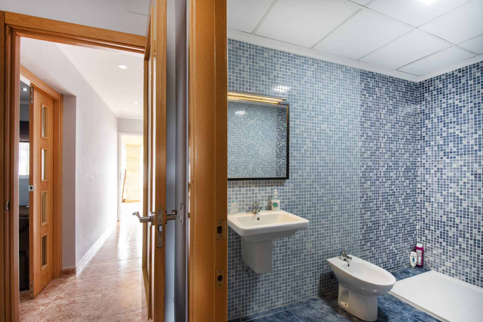 Casas o chalets-Venta-Montroy-1730261-Foto-16
