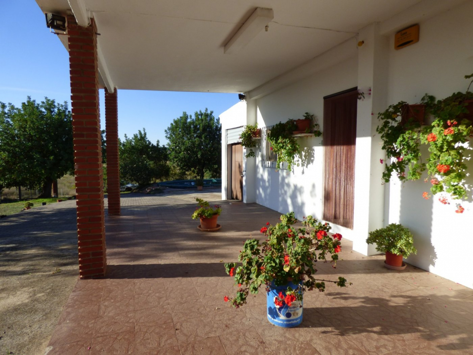Casas o chalets-Venta-Monserrat-Montserrat-956451-Foto-3