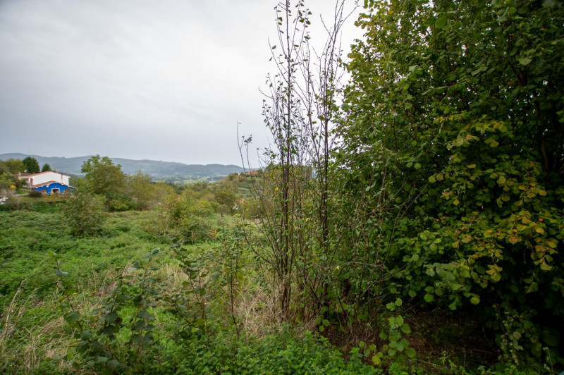 Casa para reformar con cuadra, fincas rústicas y monte de eucaliptos.
