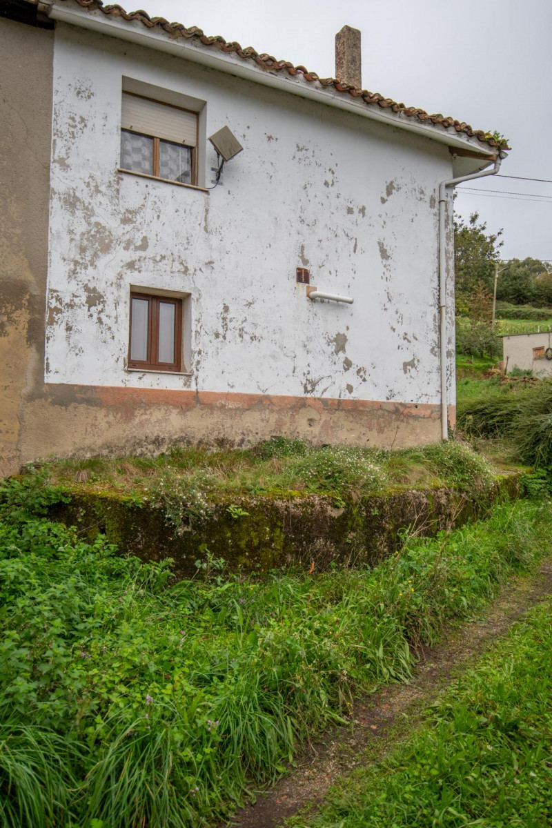 Casa para reformar con cuadra, fincas rústicas y monte de eucaliptos.
