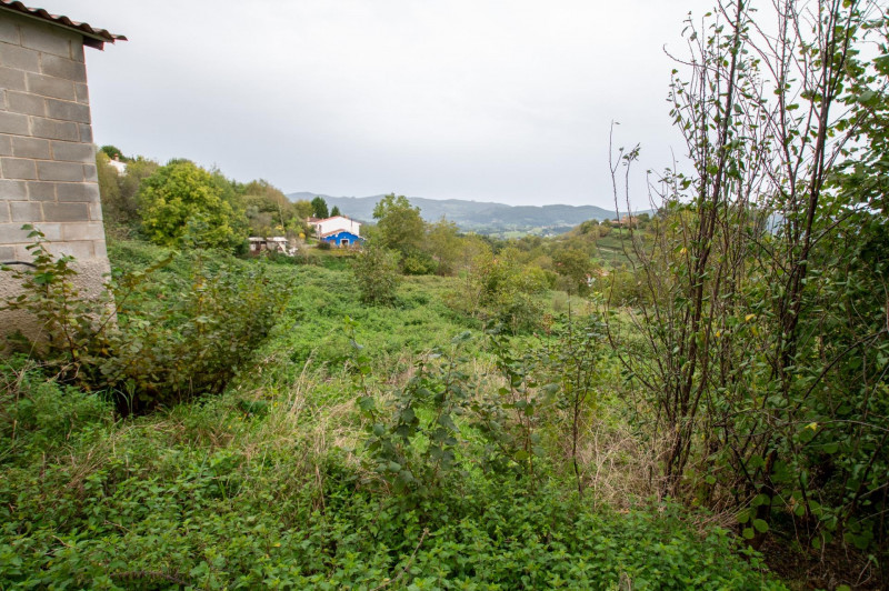 Casa para reformar con cuadra, fincas rústicas y monte de eucaliptos.