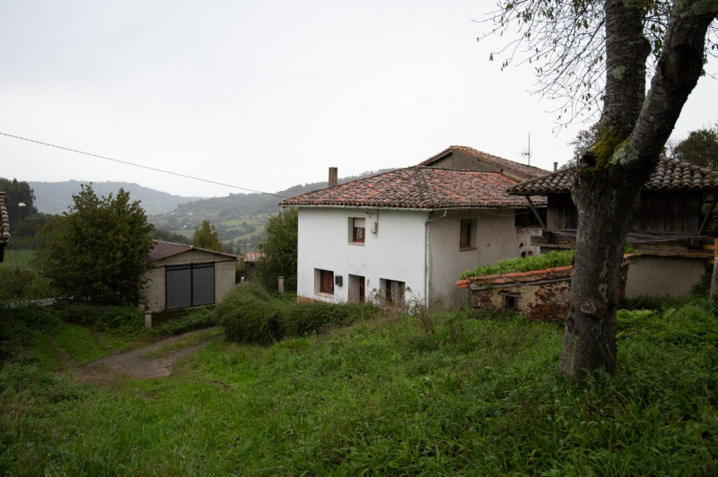 Casa para reformar con cuadra, fincas rústicas y monte de eucaliptos.