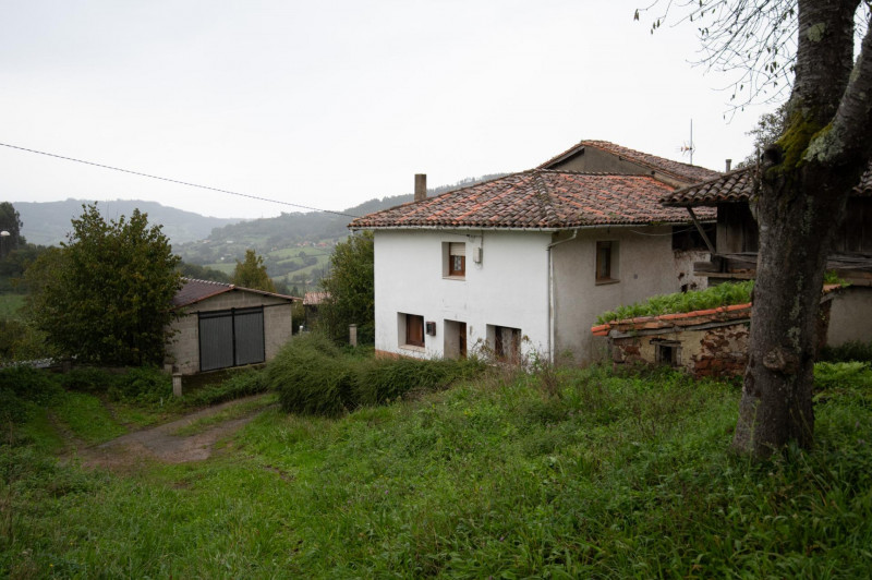 Casa para reformar con cuadra, fincas rústicas y monte de eucaliptos.