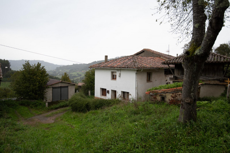 Casa para reformar con cuadra, fincas rústicas y monte de eucaliptos.