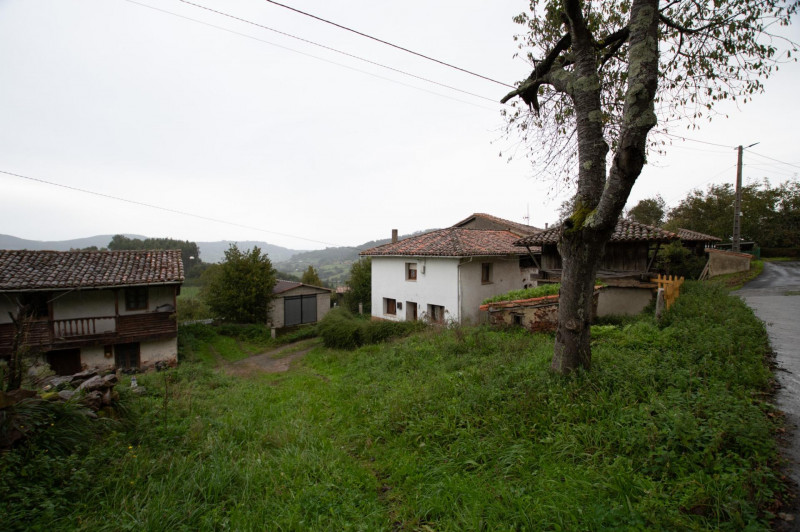 Casa para reformar con cuadra, fincas rústicas y monte de eucaliptos.