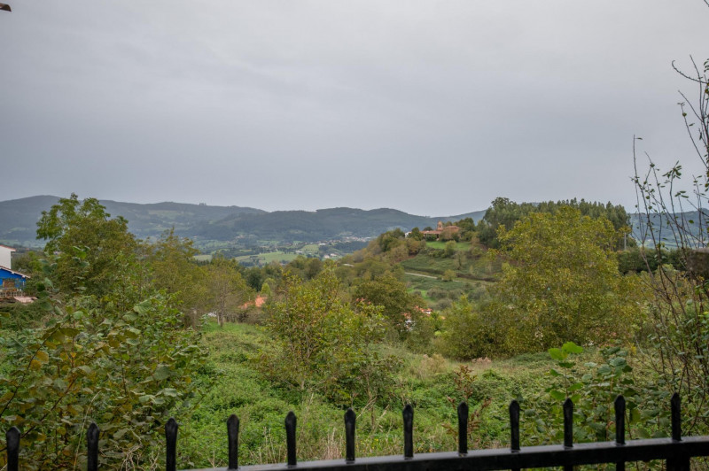 Casa para reformar con cuadra, fincas rústicas y monte de eucaliptos.